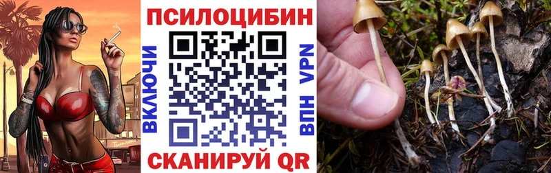 Псилоцибиновые грибы GOLDEN TEACHER  omg ссылки  Зеленодольск 